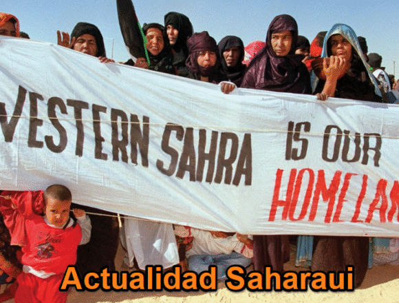 Noticias del SAHARA OCCIDENTAL – 29/1/2026– La Actualidad Saharaui
