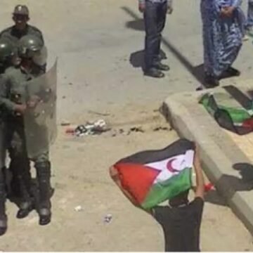 SÁHARA OCCIDENTAL: derechos vulnerados y recursos saqueados – Es la opinión del escritor y militante español Carlos C. García | lecourrier-dalgerie