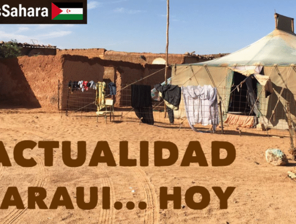Noticias del SAHARA OCCIDENTAL – 14/1/2026– La Actualidad Saharaui