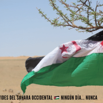 wasdfewesdg Ni la presión ni la narrativa: el Sáhara Occidental sigue siendo una descolonización pendiente – Victoria G. Corera