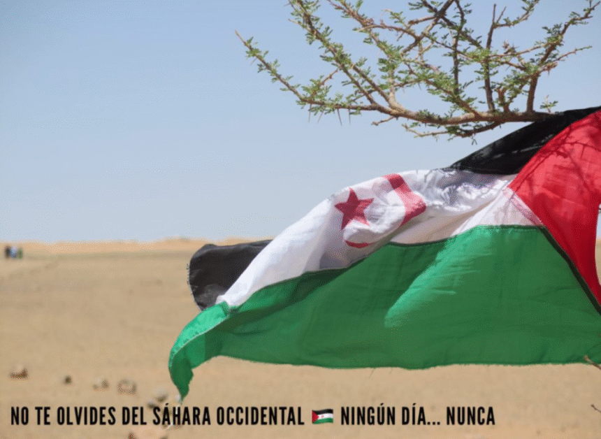 Ni la presión ni la narrativa: el Sáhara Occidental sigue siendo una descolonización pendiente – Victoria G. Corera