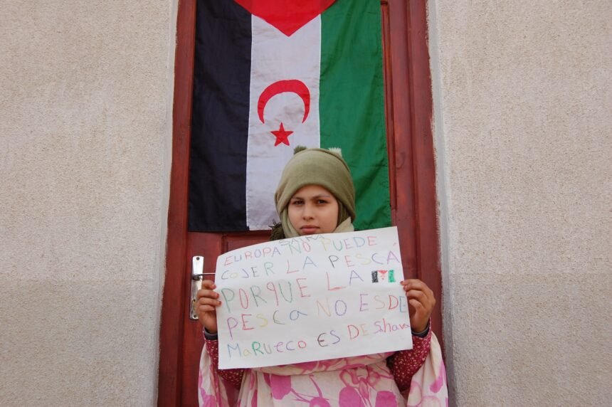 DAN EINSTEIN Declaración UE-Marruecos: autonomía sin autodeterminación, ley sin legalidad | Western Sahara Resource Watch