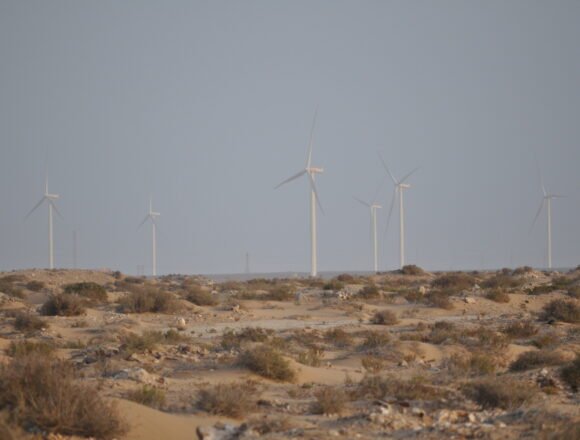 Hidrógeno “verde” en el Sáhara Occidental ocupado: TAQA y Moeve obtienen tierras en Dajla sin título legal