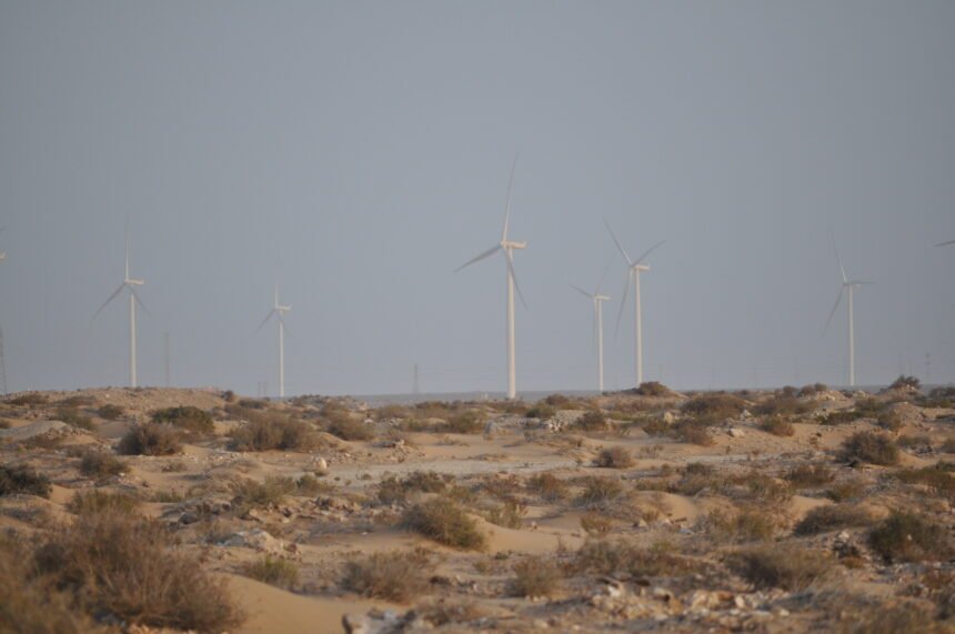 Hidrógeno “verde” en el Sáhara Occidental ocupado: TAQA y Moeve obtienen tierras en Dajla sin título legal
