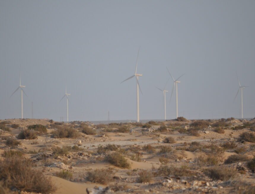 Hidrógeno “verde” en el Sáhara Occidental ocupado: TAQA y Moeve obtienen tierras en Dajla sin título legal