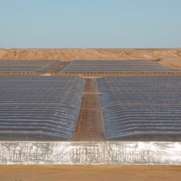 ShowImage-1 Los productos del Sáhara, etiquetados como de Marruecos en la UE – MERCADOS