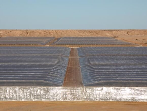 ShowImage-1 Los productos del Sáhara, etiquetados como de Marruecos en la UE – MERCADOS