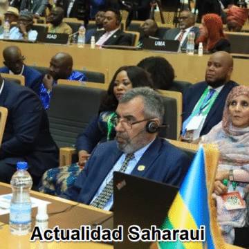 dfghjk,l.- NOTICIAS del SÁHARA OCCIDENTAL – 15 de febrero de 2026 – Actualidad saharaui