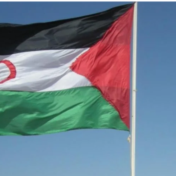 50 años de la RASD | Agradecimiento de la Delegación Saharaui para Navarra – Mohamed Ghailani* en Noticias de Navarra