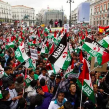 edcwsxqaz Activistas e intelectuales defienden el derecho del pueblo saharaui a la autodeterminación