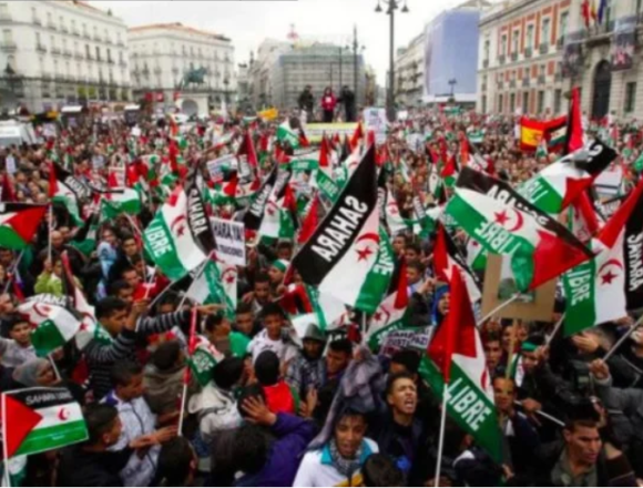 Activistas e intelectuales defienden el derecho del pueblo saharaui a la autodeterminación