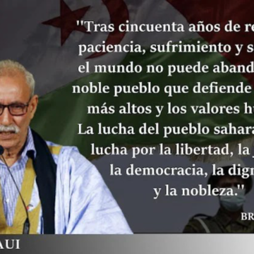 50 años de la RASD: medio siglo de existencia política en una descolonización inacabada – Carlos Cristóbal en ECSAHARAUI