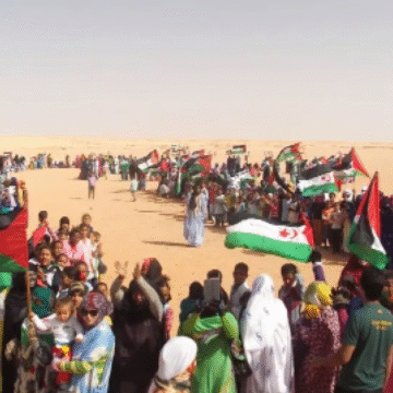 img_6355-1 El derecho del pueblo saharaui a la autodeterminación no se pierde ni se extingue con el transcurso del tiempo | Sahara Press Service (SPS)