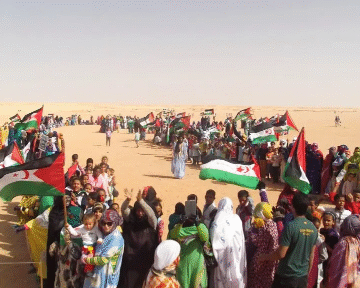 img_6355 Organizaciones saharauis reclaman la liberación de todos los presos políticos saharauis | Sahara Press Service (SPS)