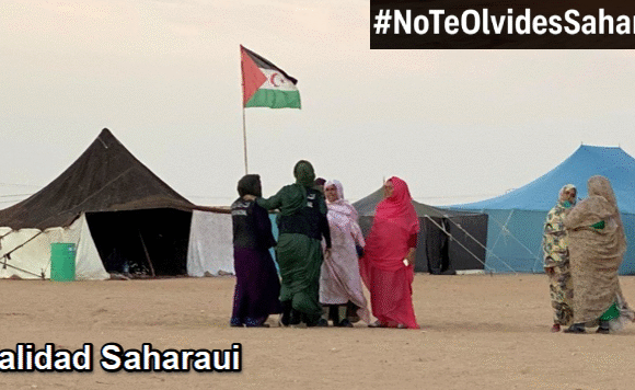 Noticias del SAHARA OCCIDENTAL – 5/2/2026– La Actualidad Saharaui