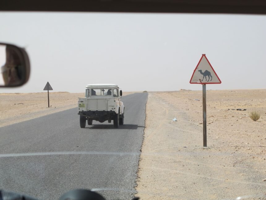 Cinco claves para entender la jornada sobre el Sáhara Occidental – 12 de marzo de 2026