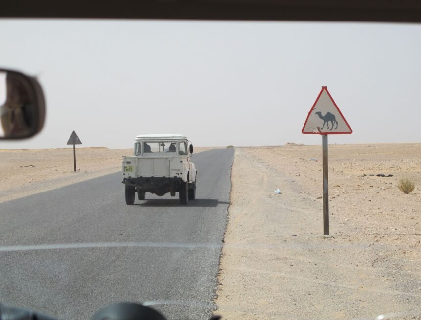 Cinco claves para entender la jornada sobre el Sáhara Occidental – 12 de marzo de 2026