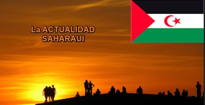 Noticias del Sáhara Occidental | Actualidad y resúmenes diarios