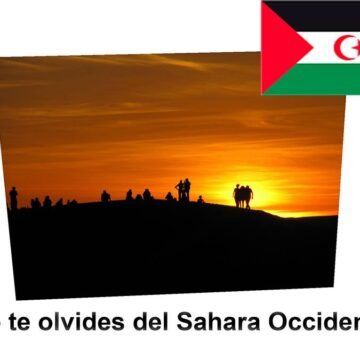 Sáhara Occidental: lo que hay que saber hoy (30 de marzo de 2026)