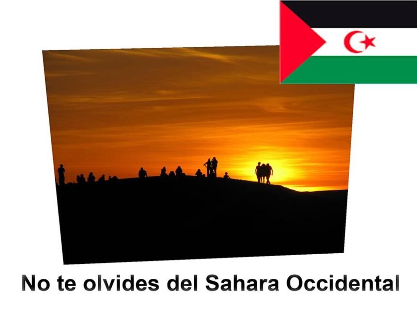Sáhara Occidental: lo que hay que saber hoy (30 de marzo de 2026)