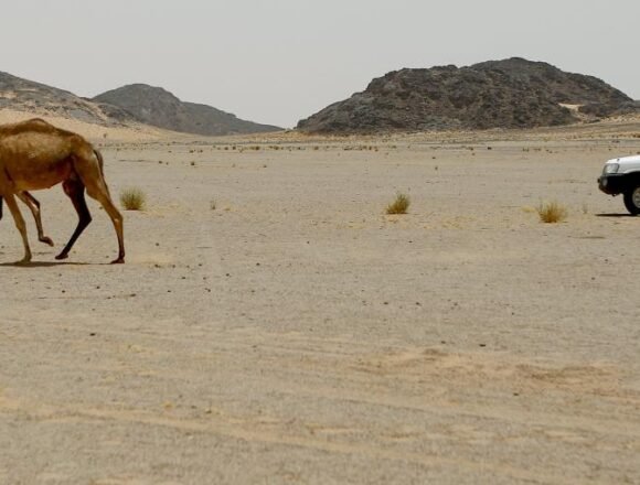 MINURSO: la misión de la ONU creada para organizar el referéndum del Sáhara Occidental que aún no se ha celebrado