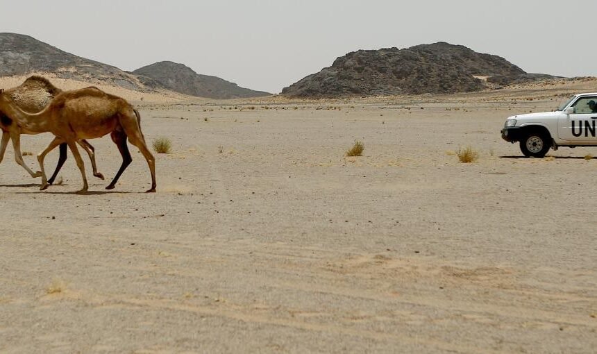 MINURSO: la misión de la ONU creada para organizar el referéndum del Sáhara Occidental que aún no se ha celebrado