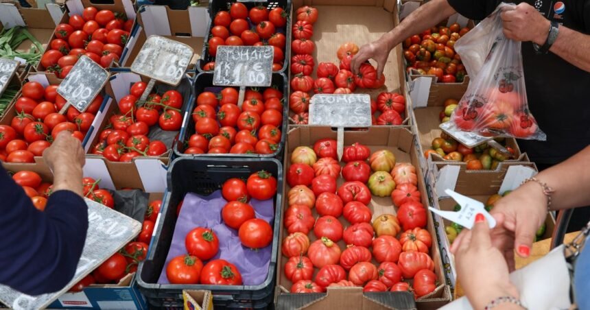 La UE evita mencionar el Sáhara Occidental en el etiquetado y admite “inconsistencias” en los datos de importación