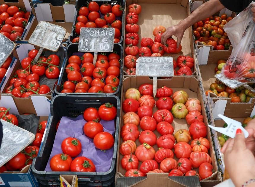 La UE evita mencionar el Sáhara Occidental en el etiquetado y admite “inconsistencias” en los datos de importación