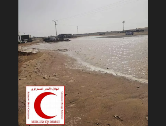 Lluvias en los campamentos saharauis: 1.500 familias pierden sus alimentos en Dajla
