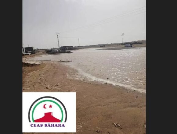 azsxdcfAQSDF CEAS-Sáhara lanza una campaña de emergencia tras las inundaciones en los campamentos saharauis