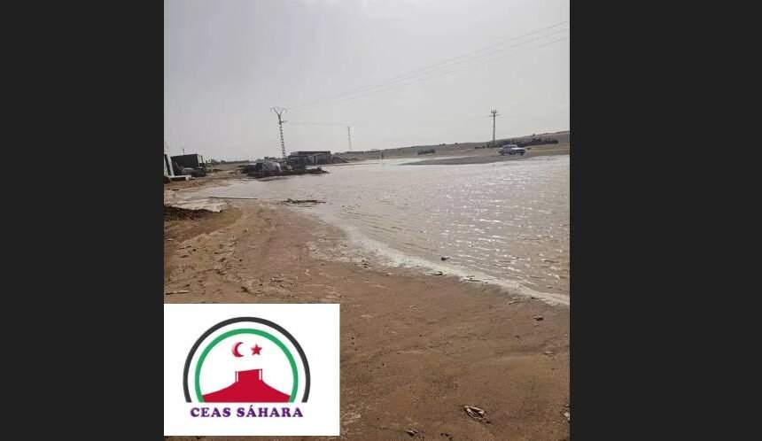 CEAS-Sáhara lanza una campaña de emergencia tras las inundaciones en los campamentos saharauis