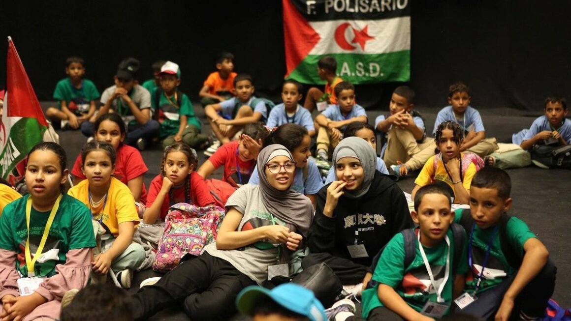 d5e4ef15-7048-412f-a567-c850594aca5c_16-9-discover-aspect-ratio_default_0 ANAS necesita familias para acoger en Navarra a 12 menores saharauis este verano