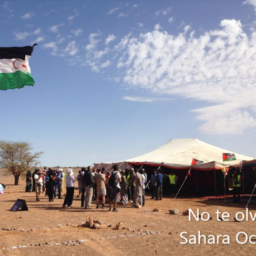 Cinco claves para entender la jornada sobre el Sáhara Occidental – 13 de marzo de 2026