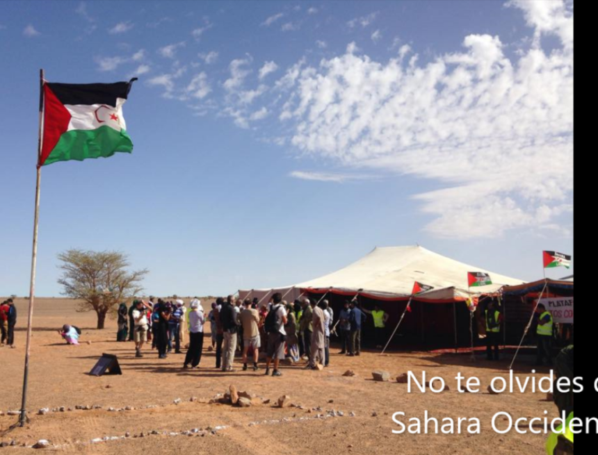 Cinco claves para entender la jornada sobre el Sáhara Occidental – 13 de marzo de 2026