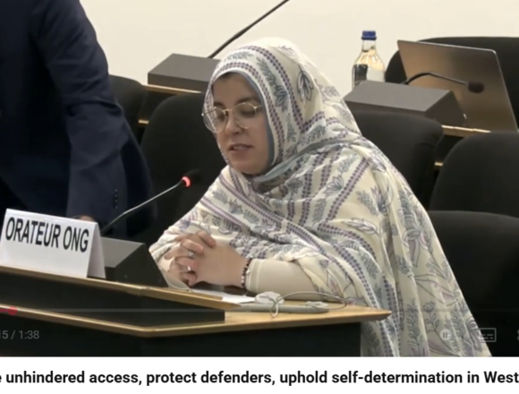 uyioi8uiopo ONG alertan ante la ONU de la represión en el Sáhara Occidental y exigen garantías para el derecho a la autodeterminación
