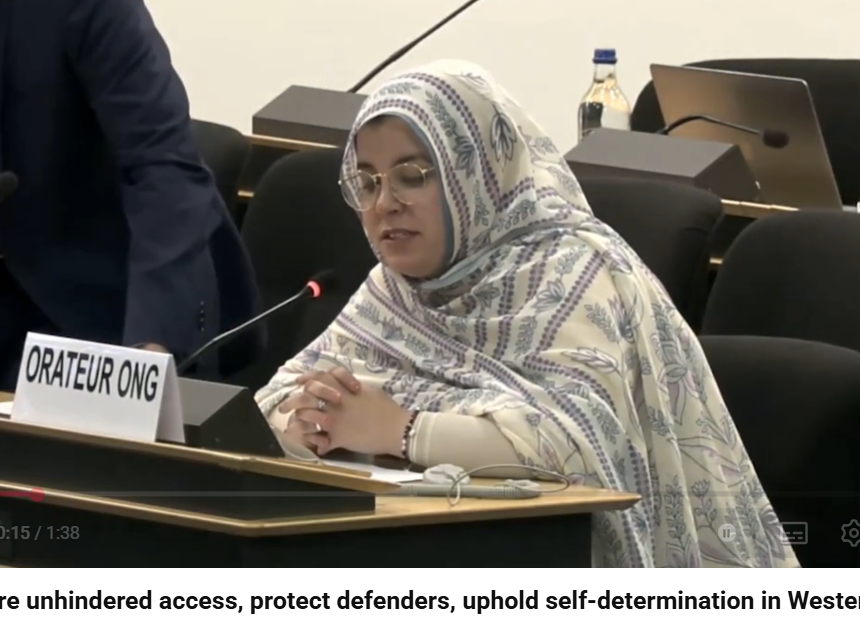 ONG alertan ante la ONU de la represión en el Sáhara Occidental y exigen garantías para el derecho a la autodeterminación