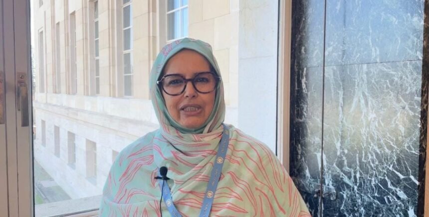 En la ONU denuncian detenciones arbitrarias y exigen la liberación de los presos políticos saharauis de Gdeim Izik