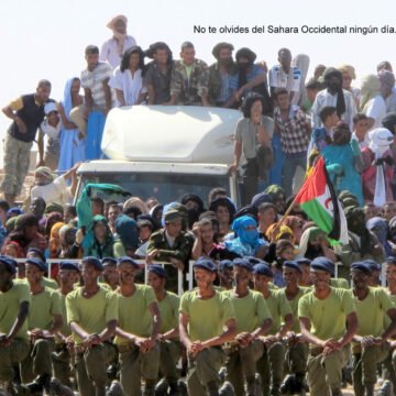 50AniversarioRASD Sáhara Occidental: Auserd acoge el 50 aniversario de la RASD, medio siglo de resistencia Estado que sigue existiendo entre el exilio y su territorio