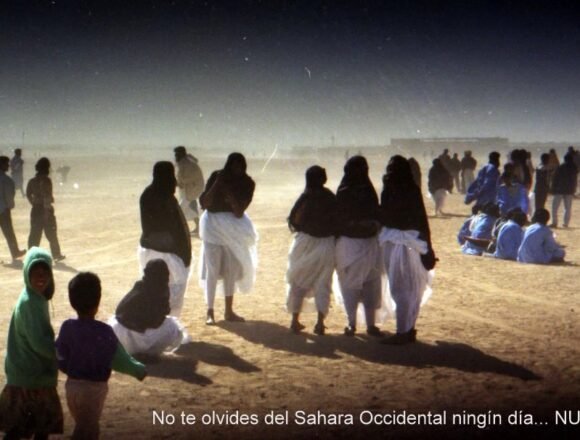 310523_2380503005158_510815509_n-001 Última hora: España deja fuera a los saharauis apátridas en su nueva regularización