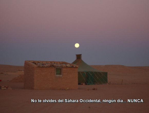 Jaima saharaui en los campamentos de refugiados del Sáhara Occidental al atardecer