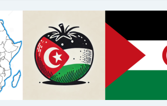 Sáhara Occidental: lo que hay que saber hoy (12 de abril de 2026)