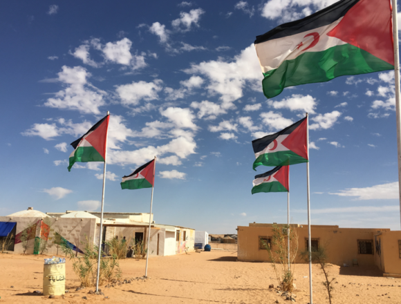 Sáhara Occidental: lo que debes saber hoy (25 de abril de 2026)