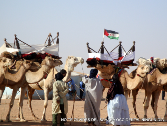 Sáhara Occidental: lo que hay que saber hoy (3 de abril de 2026)