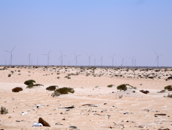 Sáhara Occidental: cuando la ocupación se convierte en modelo económico