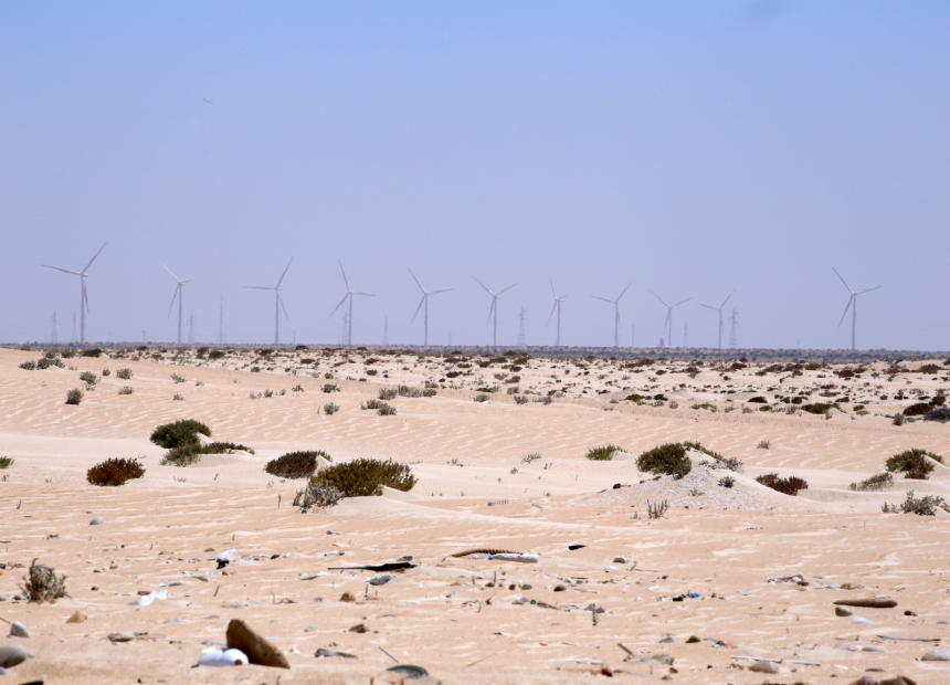 Sáhara Occidental: cuando la ocupación se convierte en modelo económico