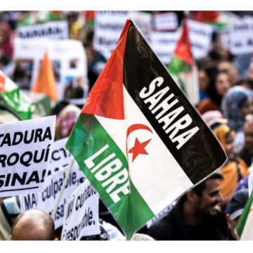 SAHARA OCCIDENTAL | La loi de nationalité sahraouie : réparer une injustice sans remplacer l’autodétermination –  Par Victoria G. Corera