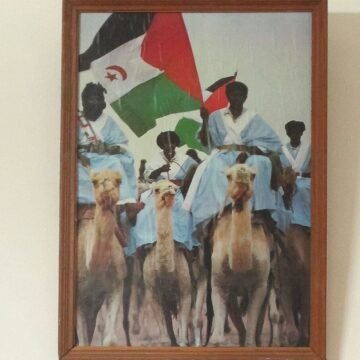 Cuadro embajada Argel LA LECTURA DEL DÍA | El Sáhara Occidental también se disputa en Washington: lobby, POLISARIO y autodeterminación