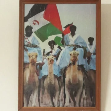 Photographie d’un tableau Sahara occidental : POLISARIO, RASD et armée sahraouie, trois réalités à ne pas confondre