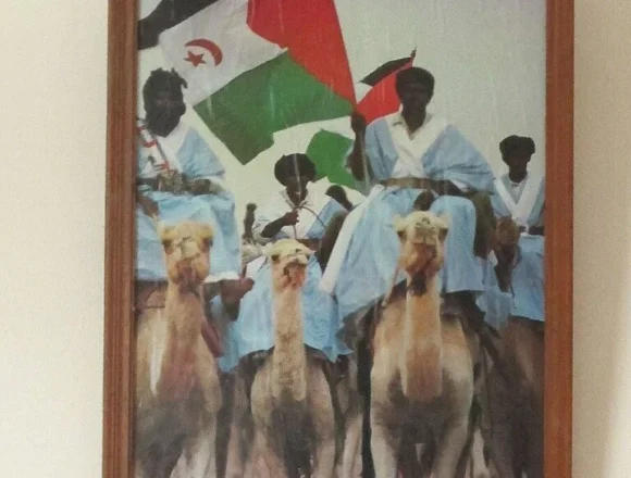 Western Sahara: POLISARIO, the SADR and the Sahrawi Army are not the same thing