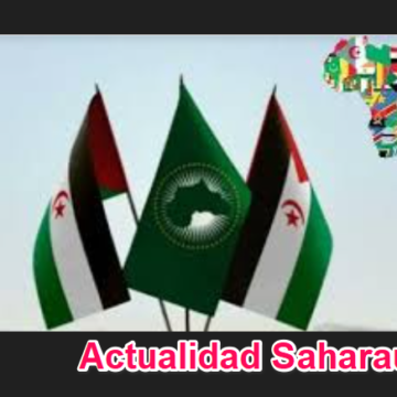 RESUMEN SEMANAL | Semana 33: cuatro noticias del Sáhara Occidental para no dejar atrás